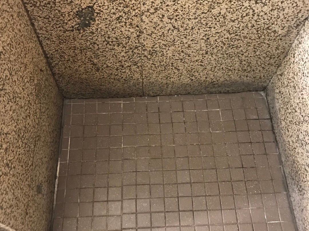 Holiday Inn & Suites Rochester - Marketplace主图