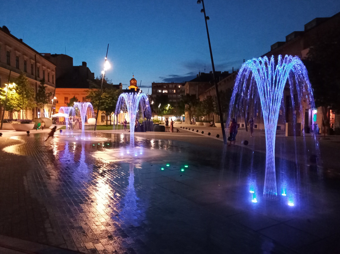 Dósa Nádor Téri Park景点图片