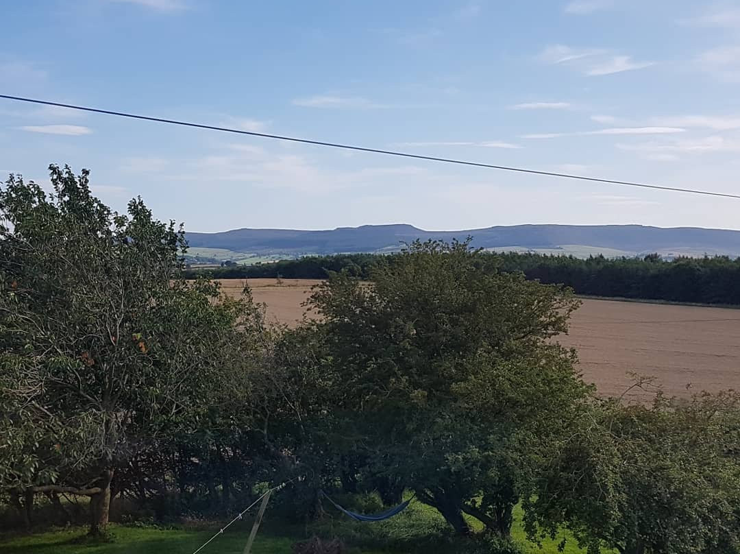 Lorbottle West Steads主图