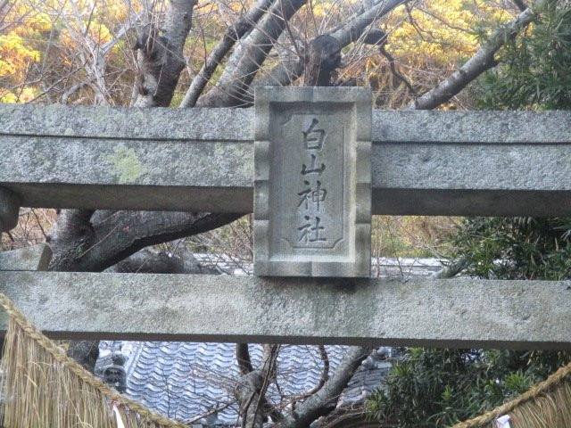 Shirayama Shrine-土佐清水市必去景点