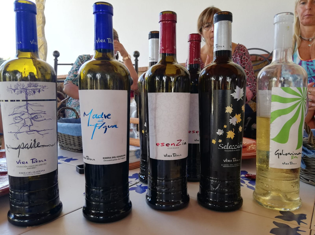 Bodega Toribio-Puebla de Sancho Perez必去景点