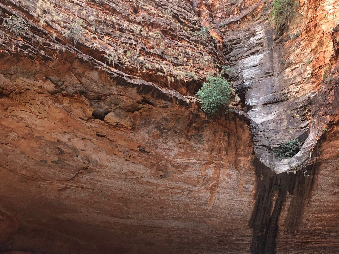 Purnululu National Park景点图片
