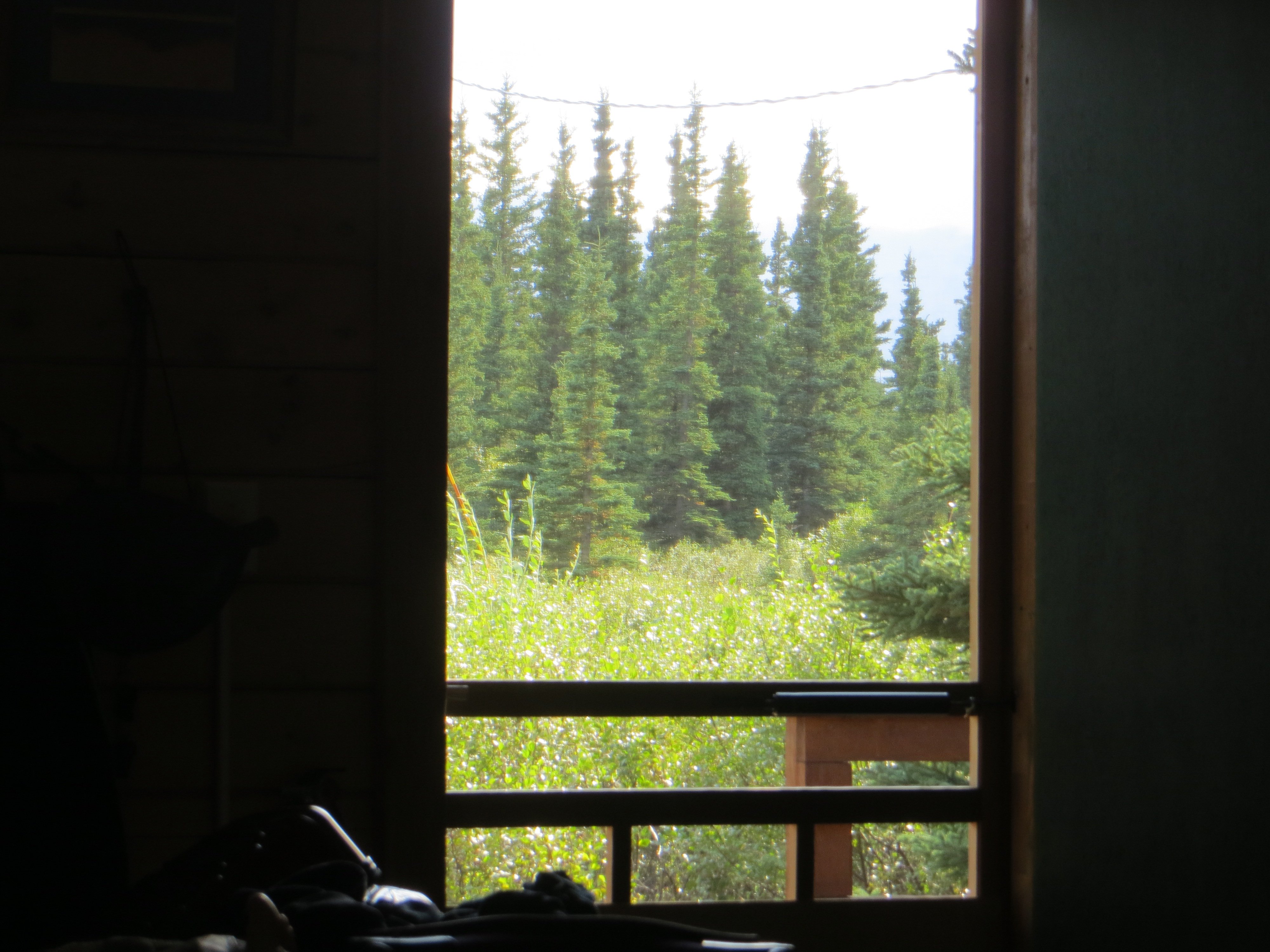 Aspen Haus Bed and Breakfast-酒店景观
