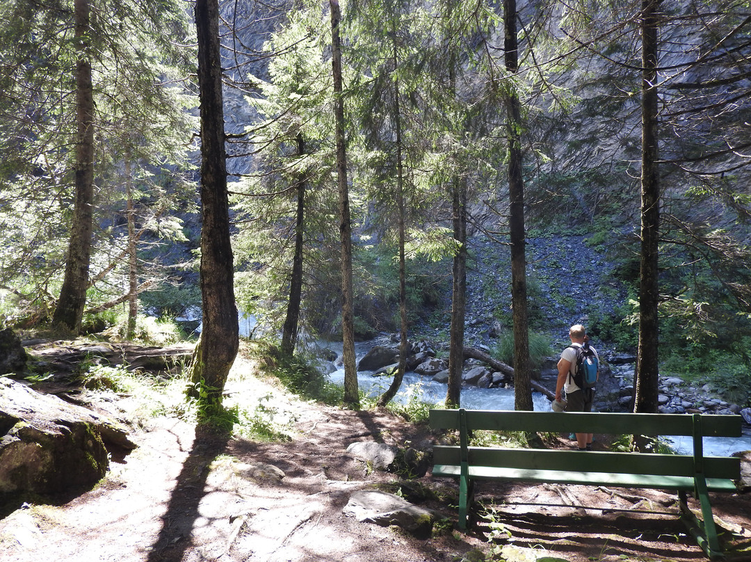 Gorges de la Gruvaz景点图片