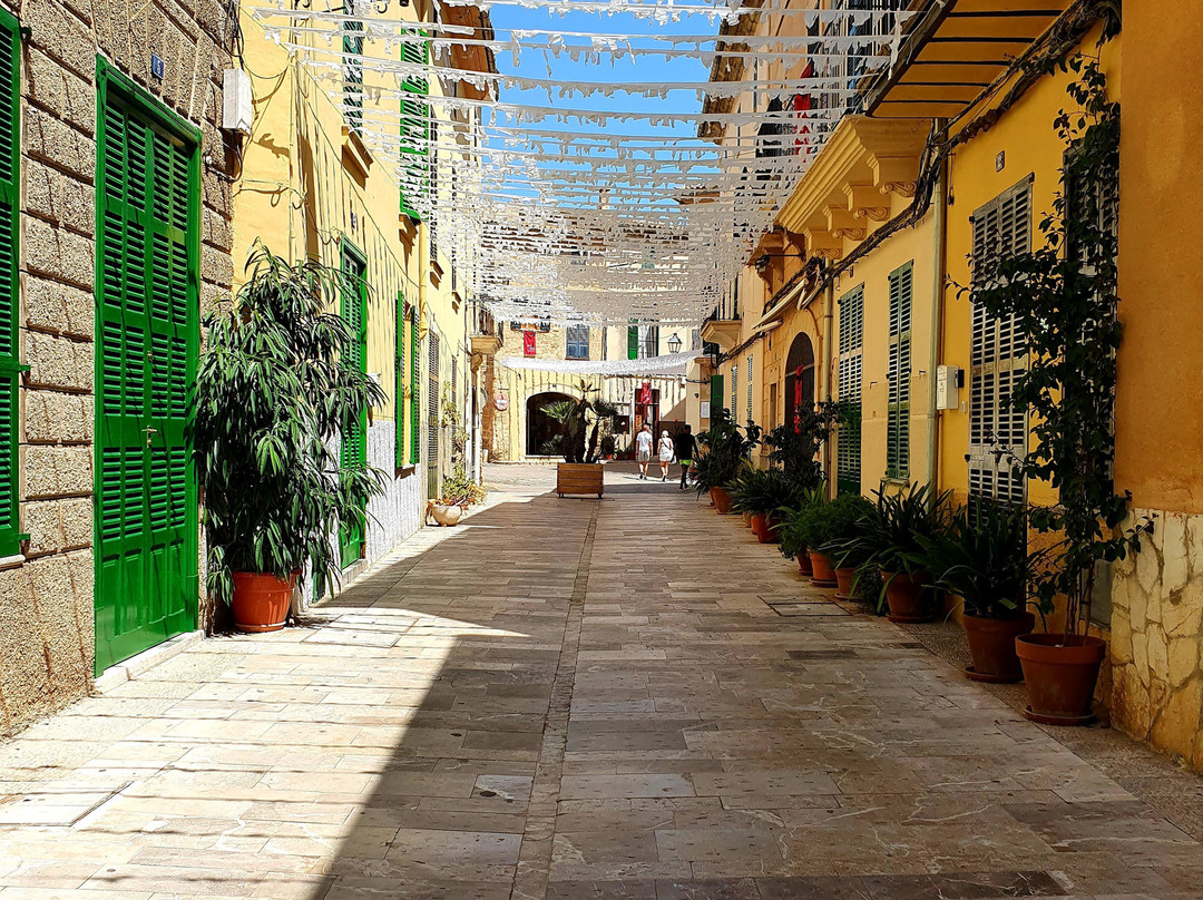 Alcudia Markt景点图片