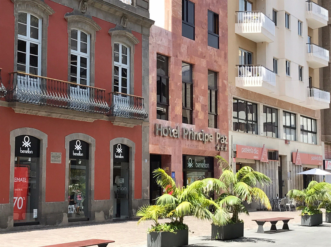 Hotel Príncipe Paz主图