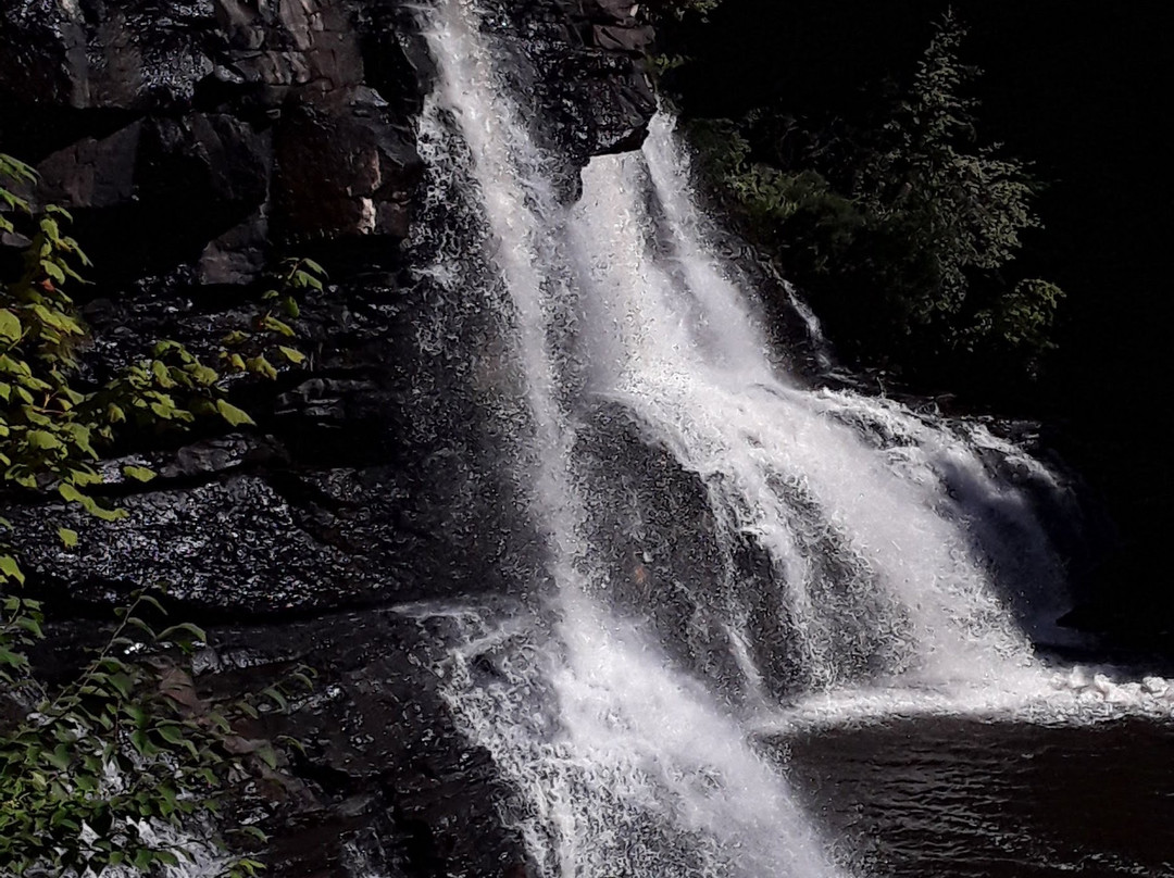 Blackwater Falls State Park-戴维斯必去景点