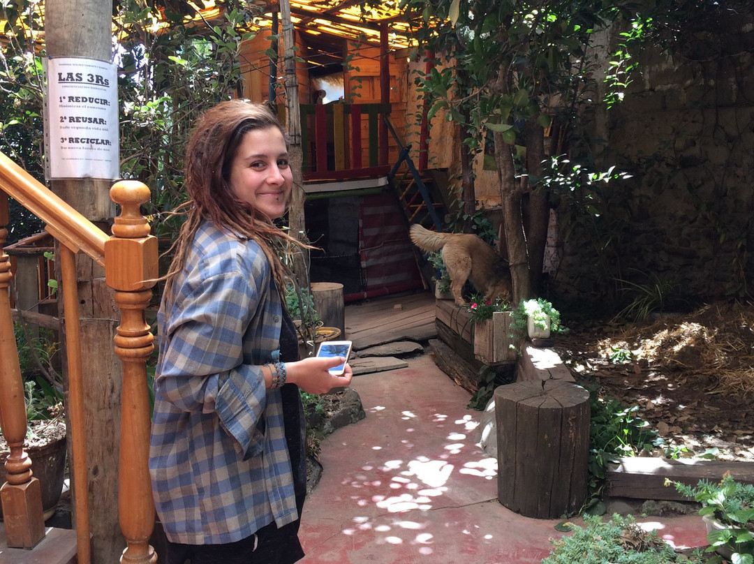 Eco Hotel Banderas主图