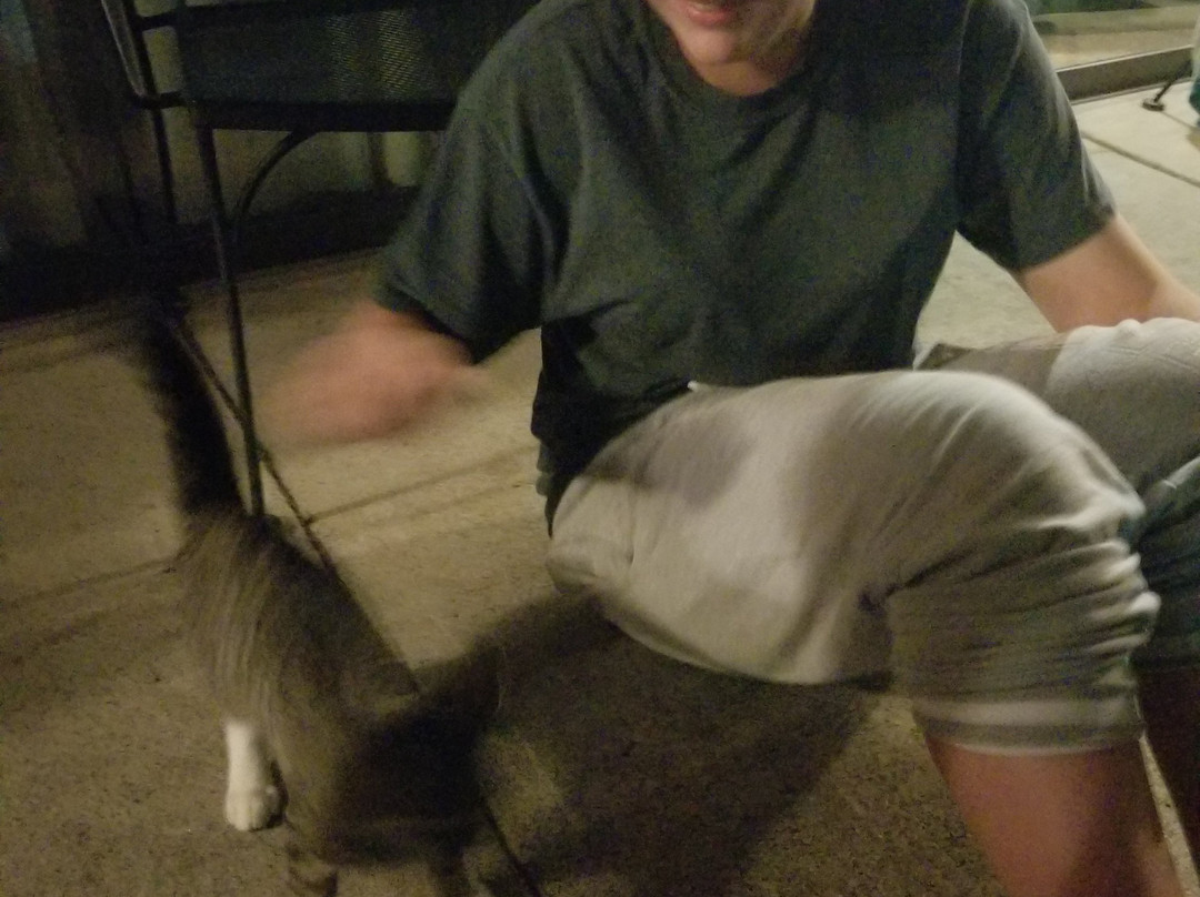 All Star Inn & Suites主图