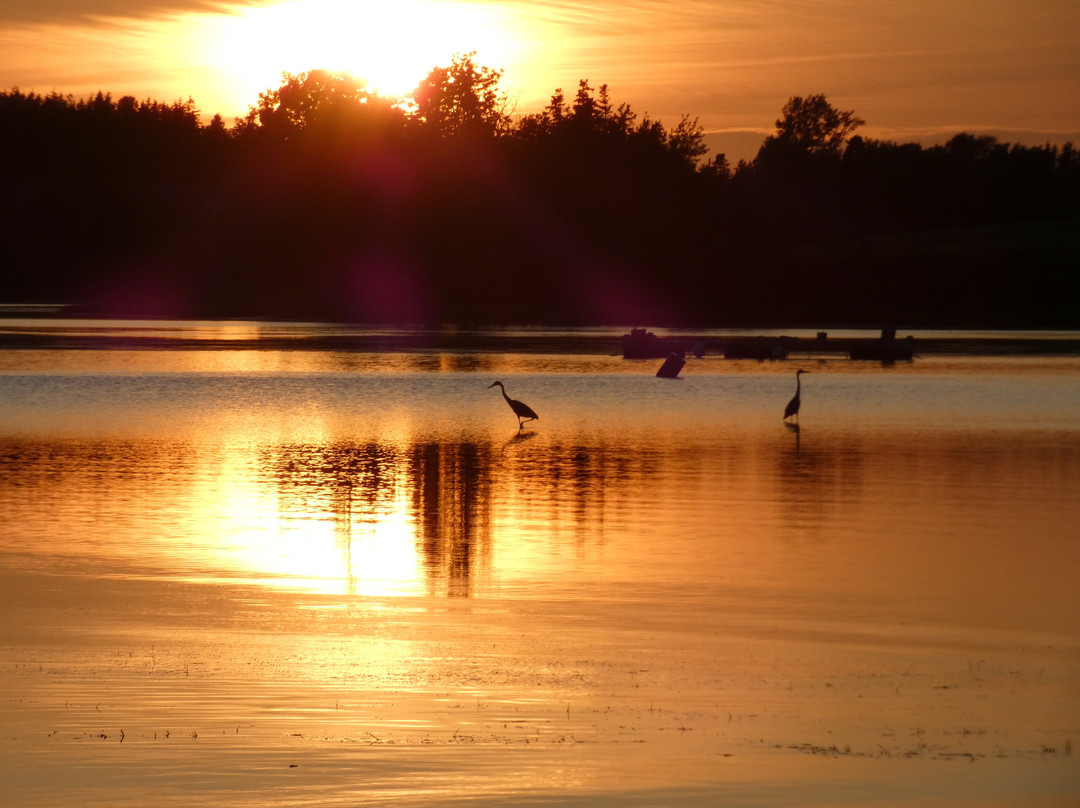Souris Beach Provincial Park-Souris必去景点
