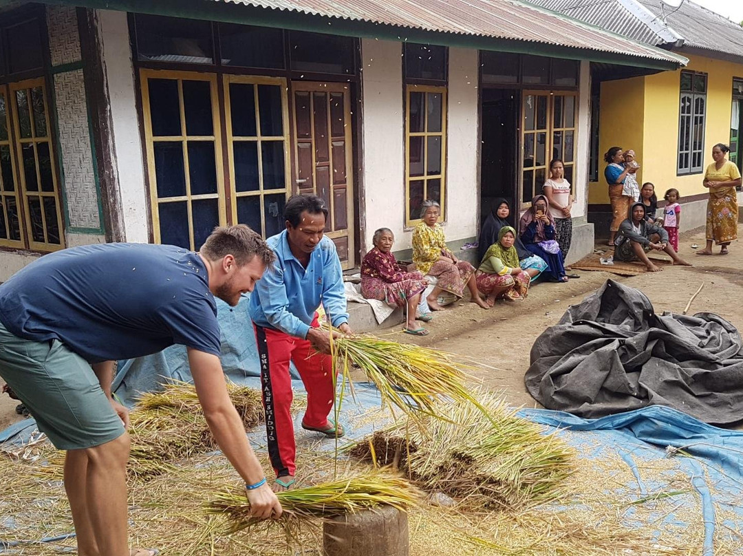 Lombok Trip-龙目岛必去景点