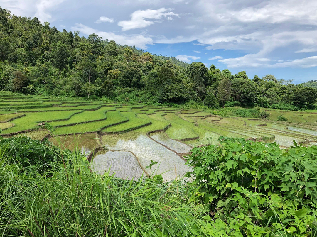 New Force Hsipaw Trekking-西保必去景点