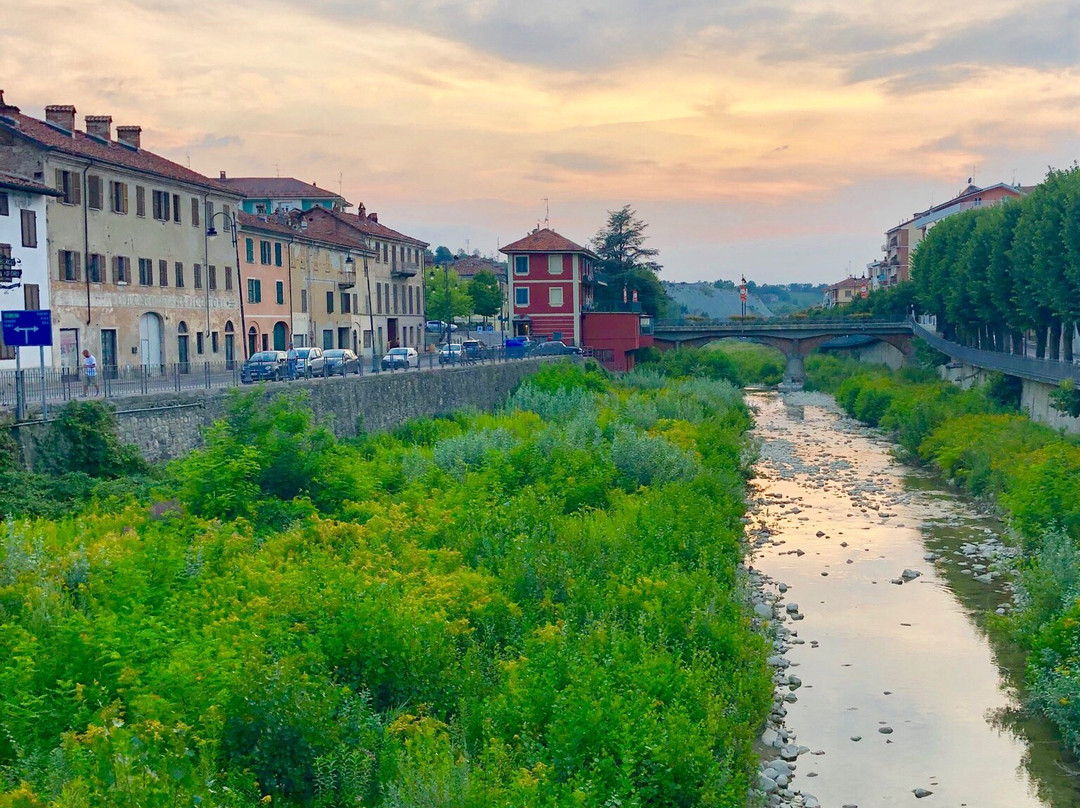 Enoteca Il Vinoso景点图片