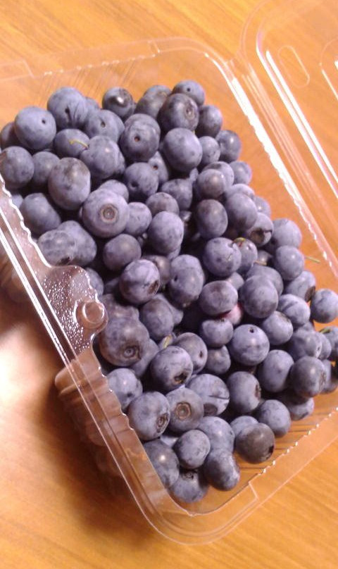 Ishiguro Blueberry Farm-稻城市必去景点