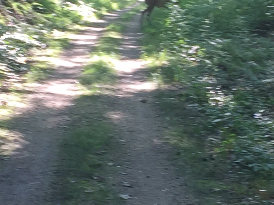 Border To Boston Trail-Topsfield必去景点