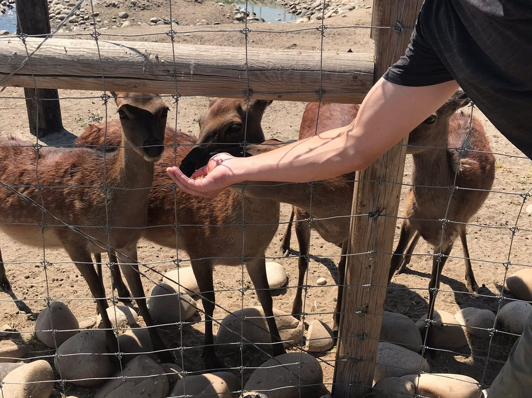 Babby Farms-Caldwell必去景点