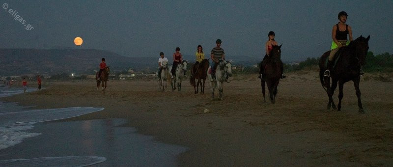 Eligas Studios & Apartments主图