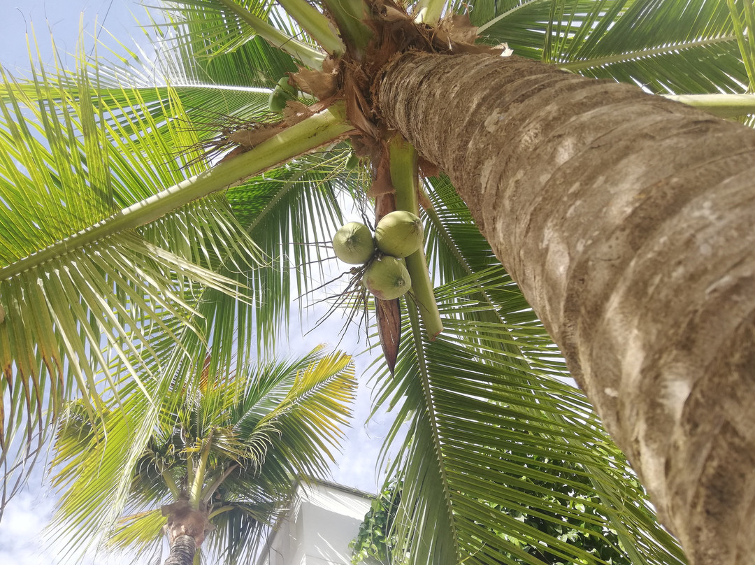 Casa Danae Hotel主图