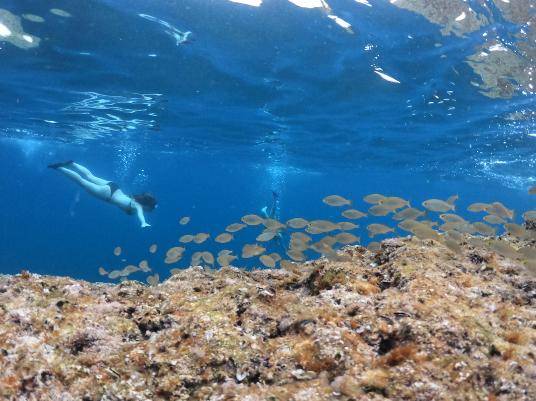 kayak tours | pulsevents.hr-普拉必去景点
