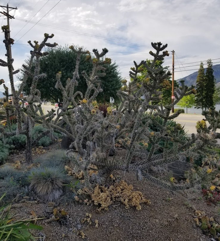 Osoyoos Lake Veteran’s Memorial Park
