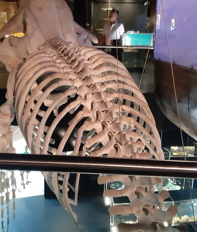 Aquarium景点图片
