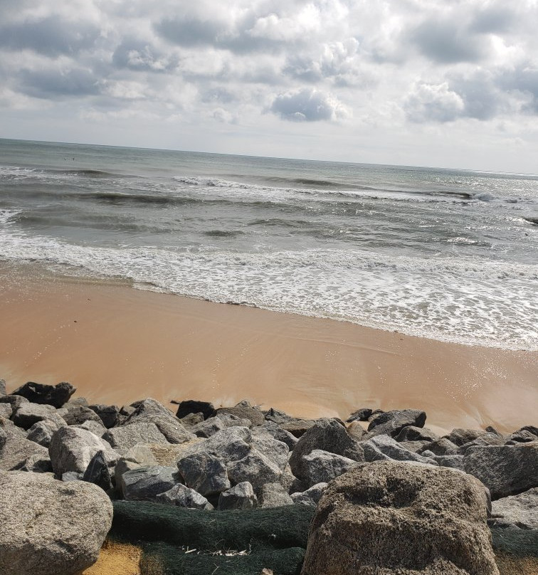 Marineland Marina-圣奥古斯丁必去景点