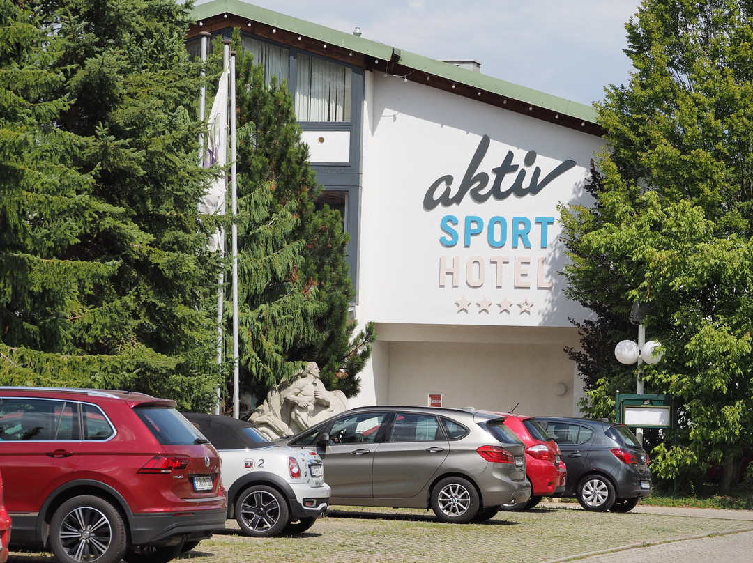 Aktiv Sporthotel主图