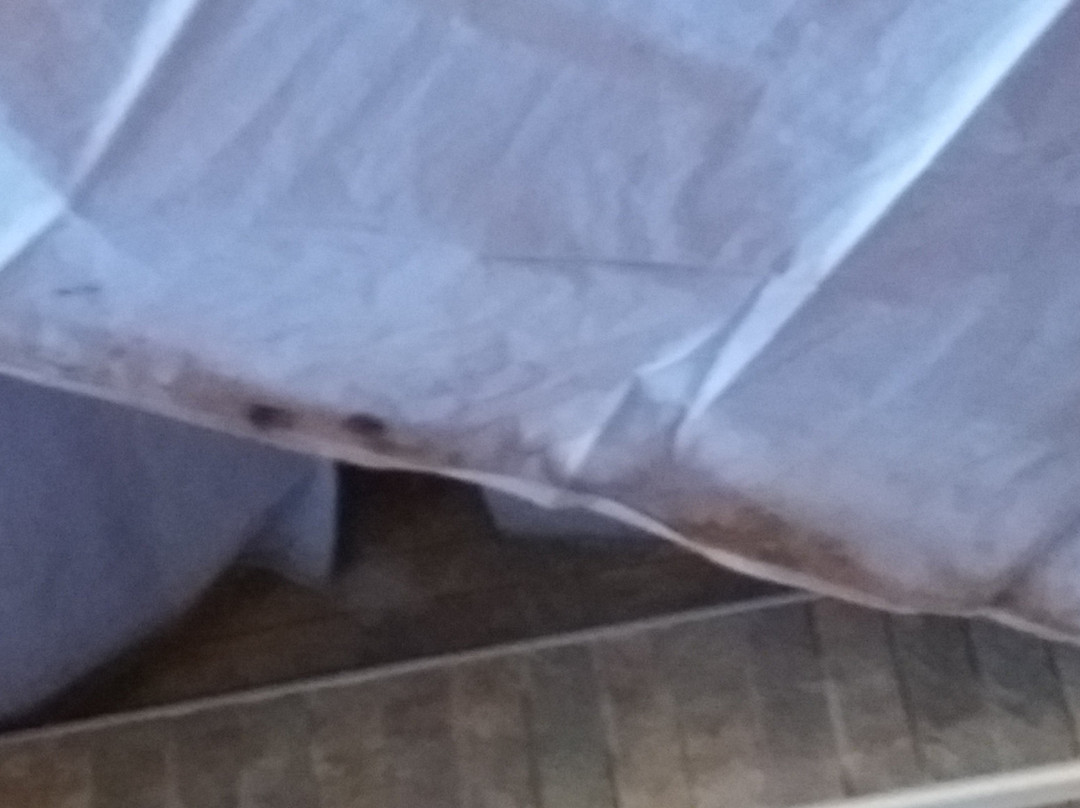 Bahiaincantata主图