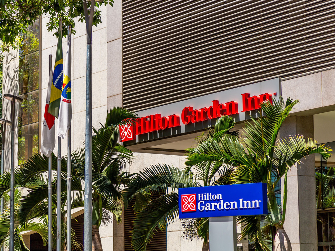 Hilton Garden Inn Belo Horizonte主图