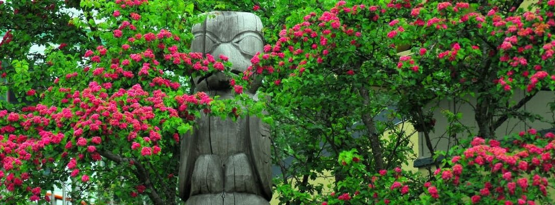 Juneau-Douglas City Museum-朱诺必去景点