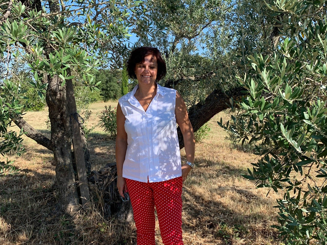 Agriturismo La Leccia主图