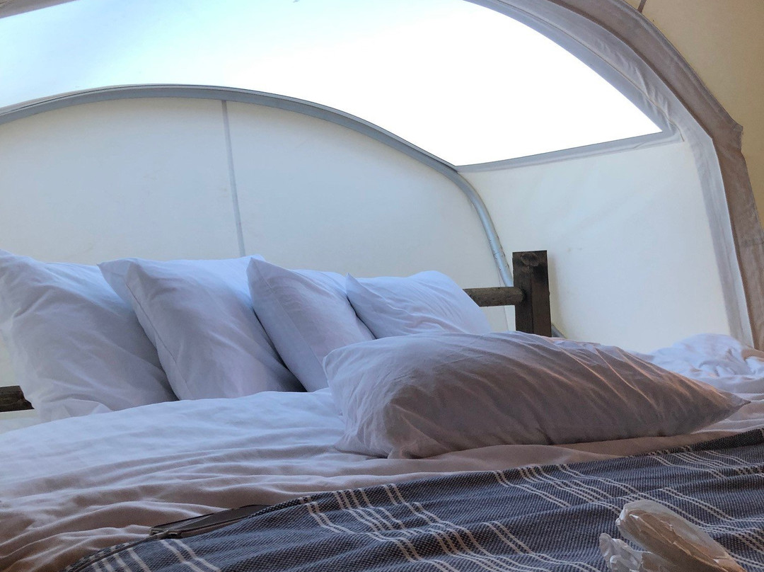 Under Canvas Grand Canyon主图