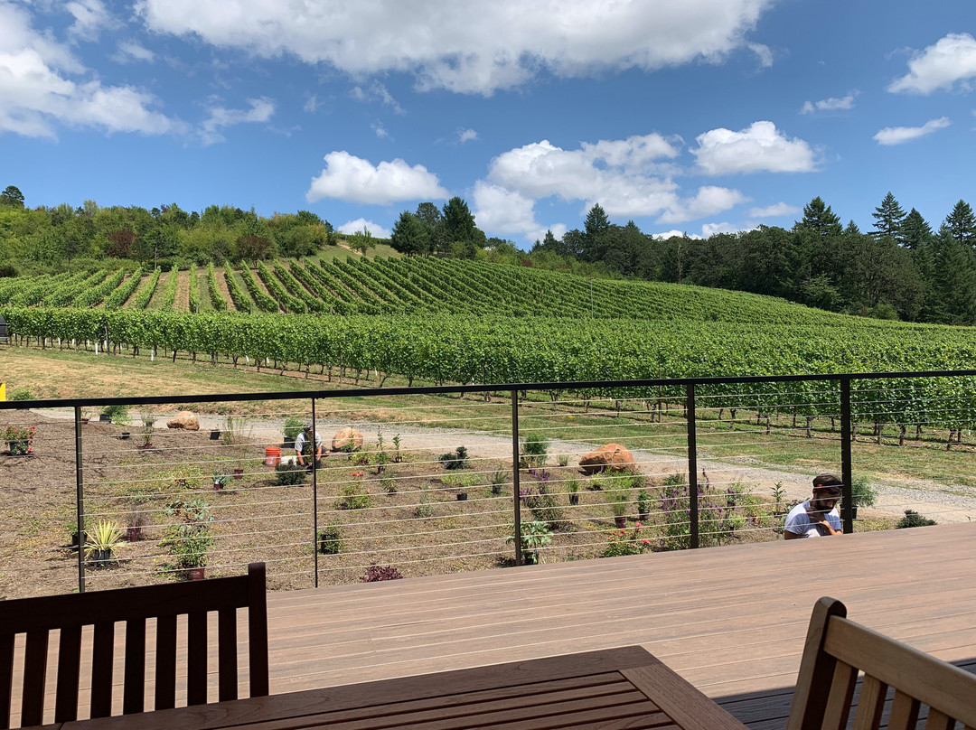 Patricia Green Cellars-纽伯格必去景点