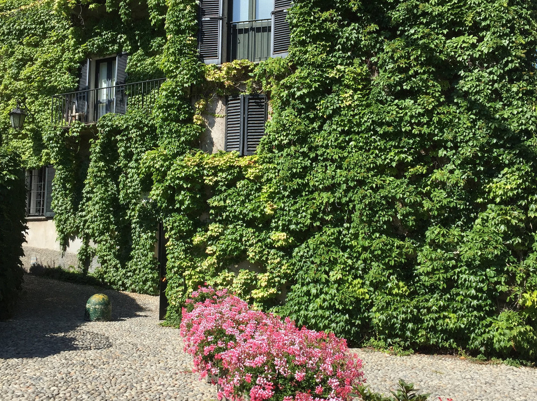 Borgo di Pescallo景点图片
