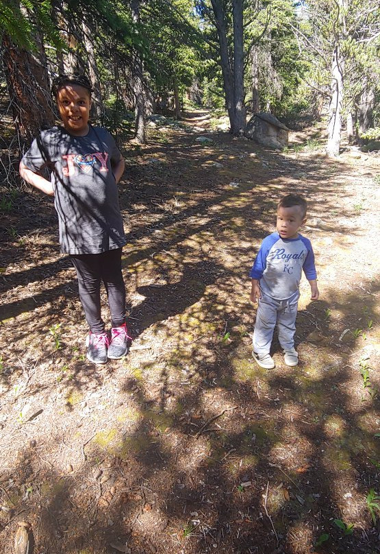 Limber Grove Trail-Fairplay必去景点