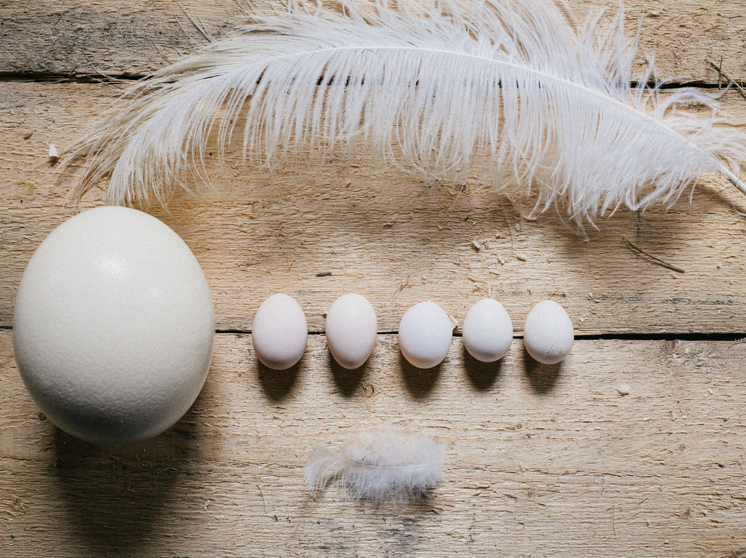 Eco Complex Kazeyevka-Kazeyevka必去景点