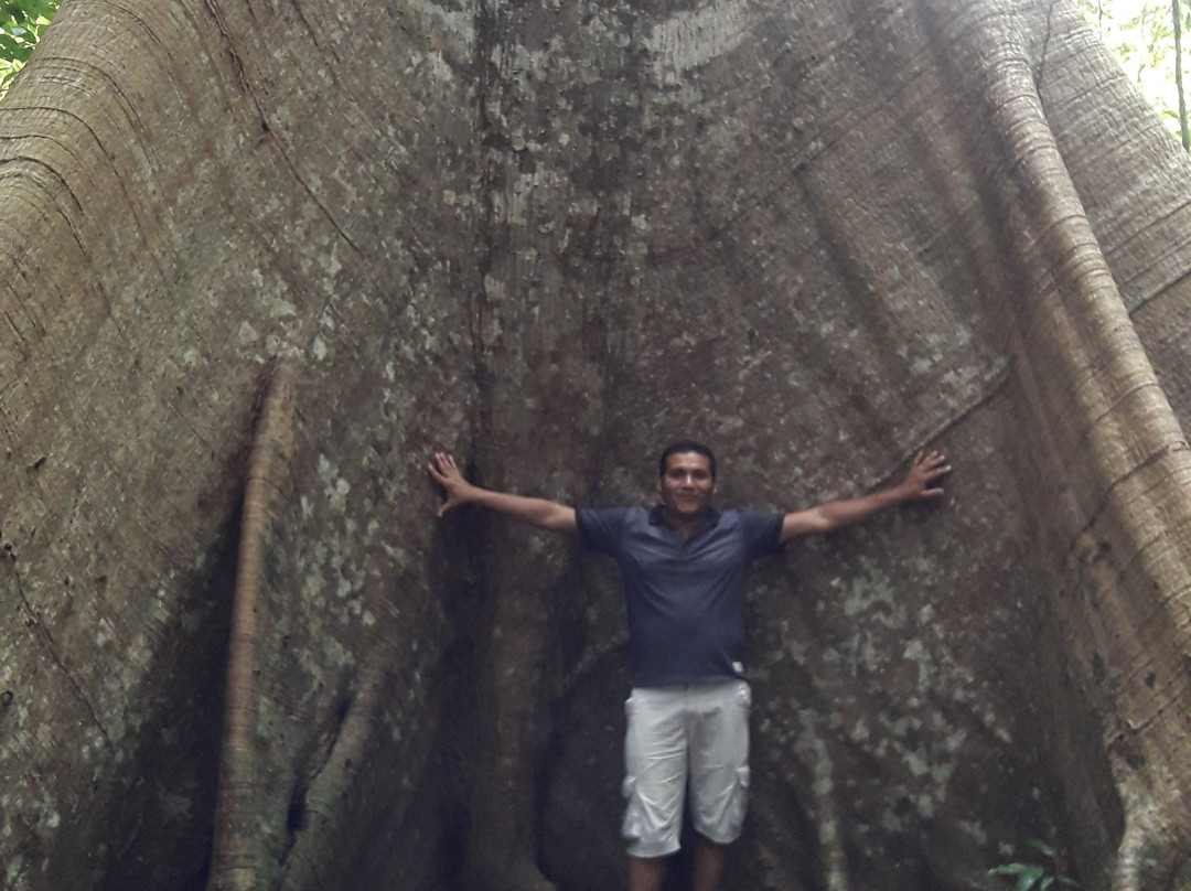 Floresta Nacional dos Tapajos-Ruropolis必去景点