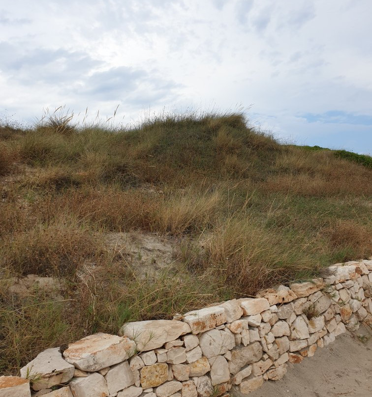 Parco Dune Costiere-奥斯图尼必去景点