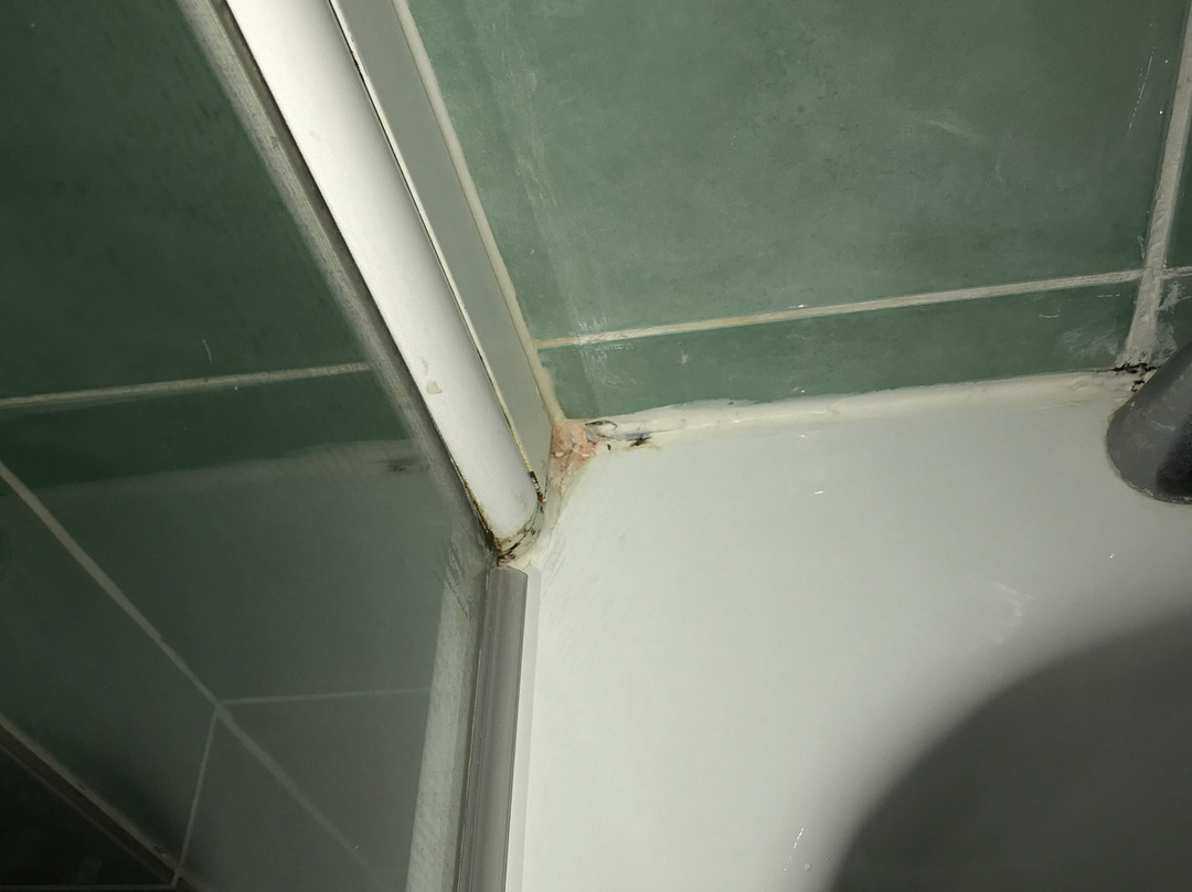 Lansdowne Hotel主图