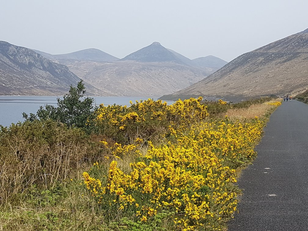 Silent Valley Mountain Park景点图片
