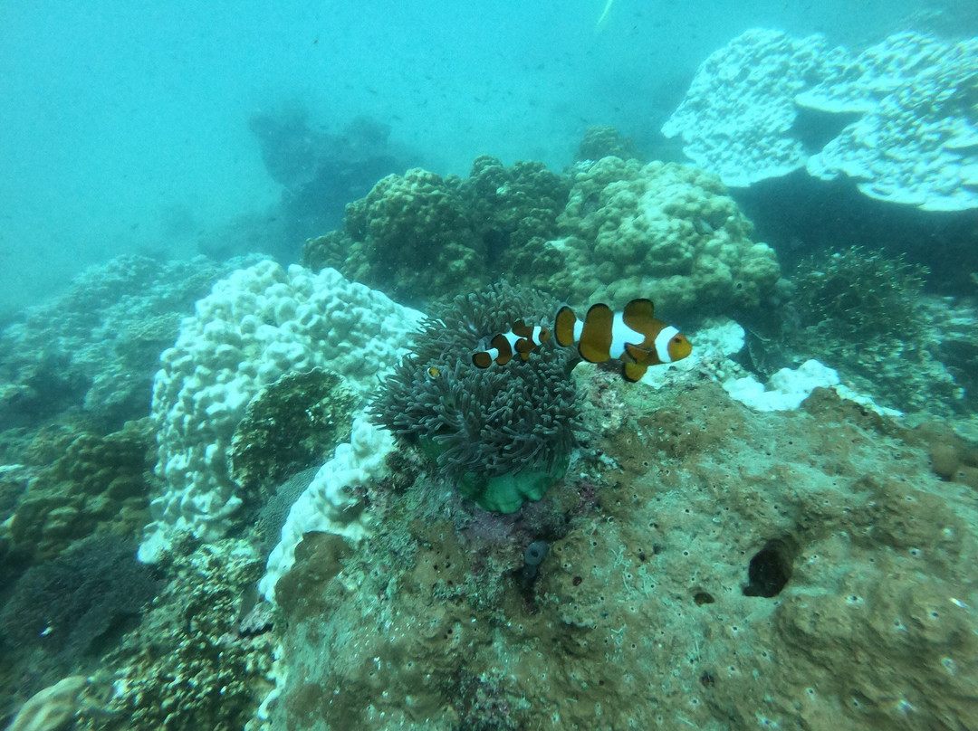 The Barat Dive Center Perhentian景点图片