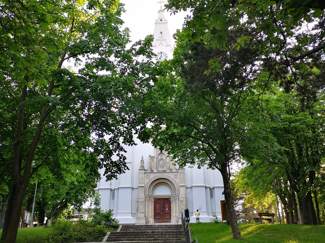 Stadtpfarrkirche Bad Vöslau-Bad Voeslau必去景点