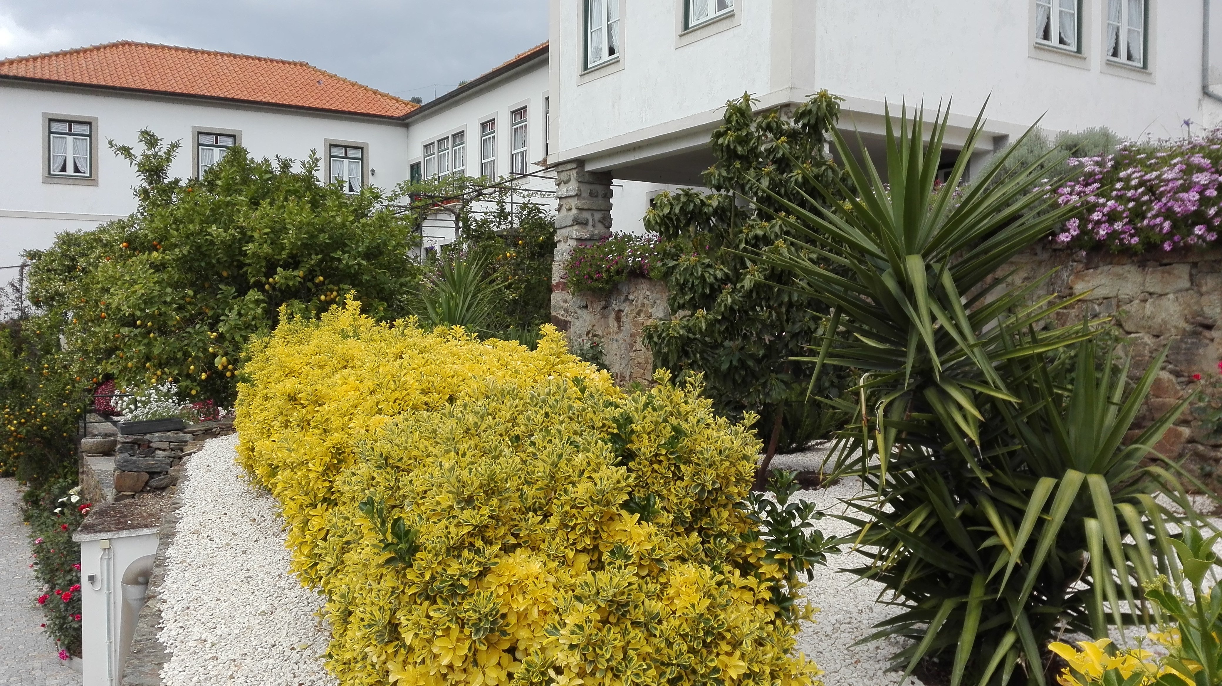 Quinta da Travessa-官方