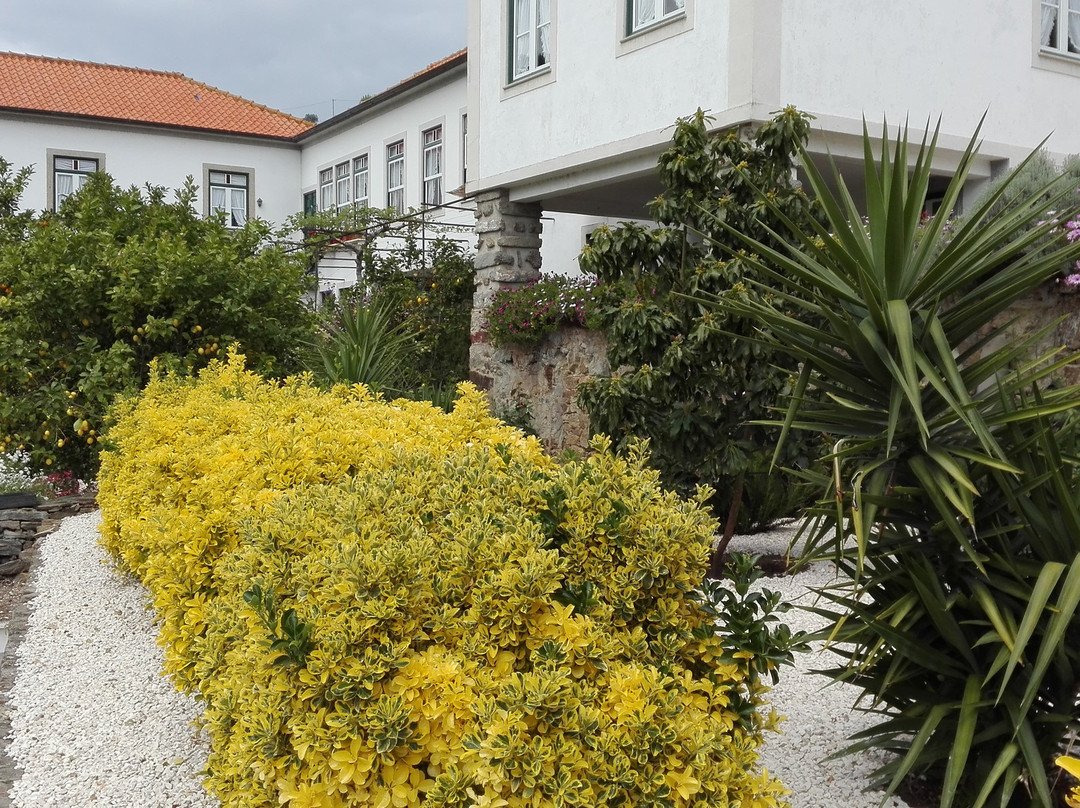 Quinta da Travessa主图