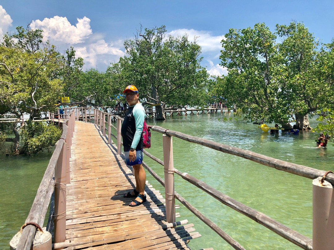 Suyac Island Mangrove Eco-Park景点图片