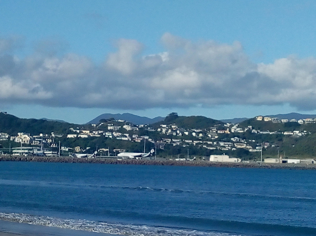 Lyall Bay景点图片