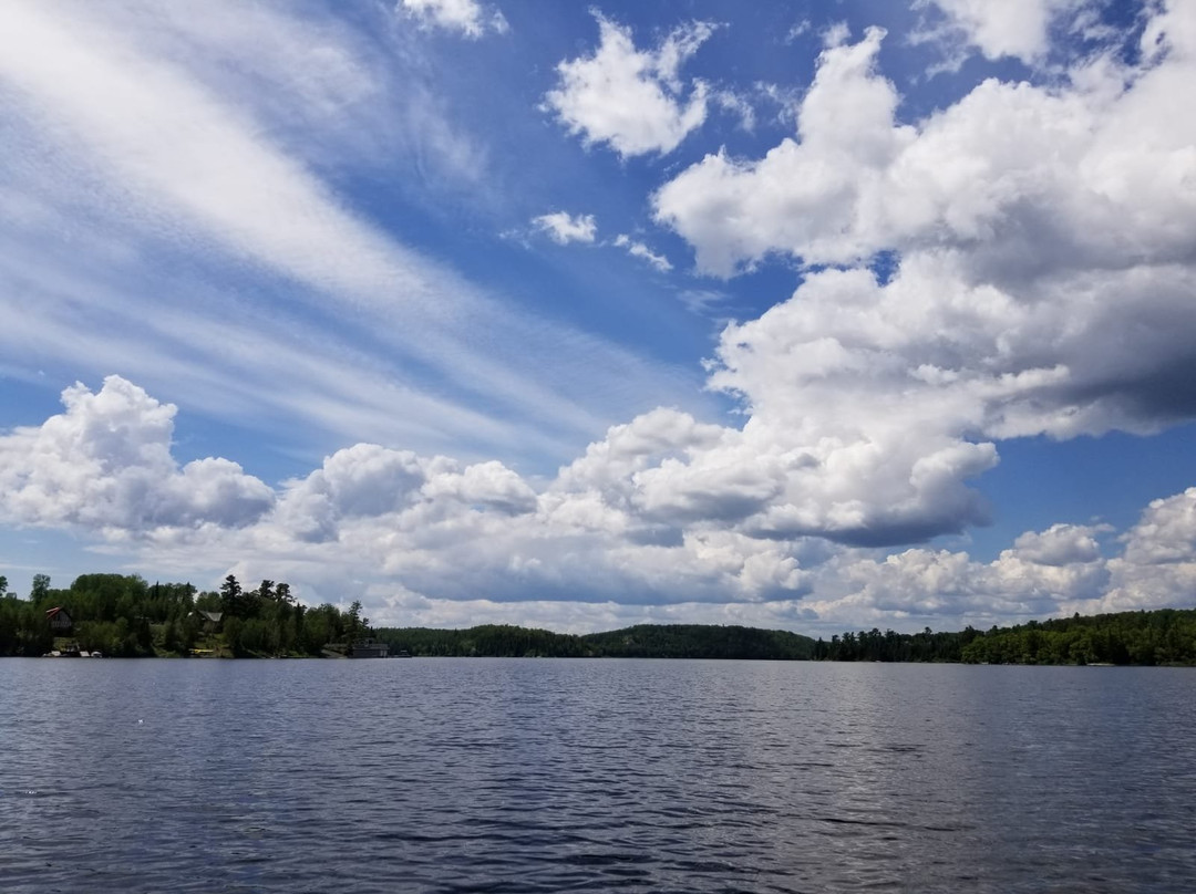 Log Cabin Inn Bed & Breakfast主图