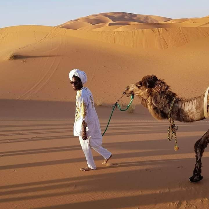 Amazing Trips in Morocco-梅如卡必去景点