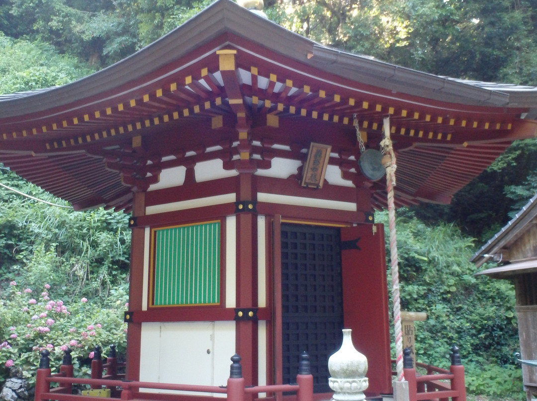 Shoryuji Temple-土佐市必去景点