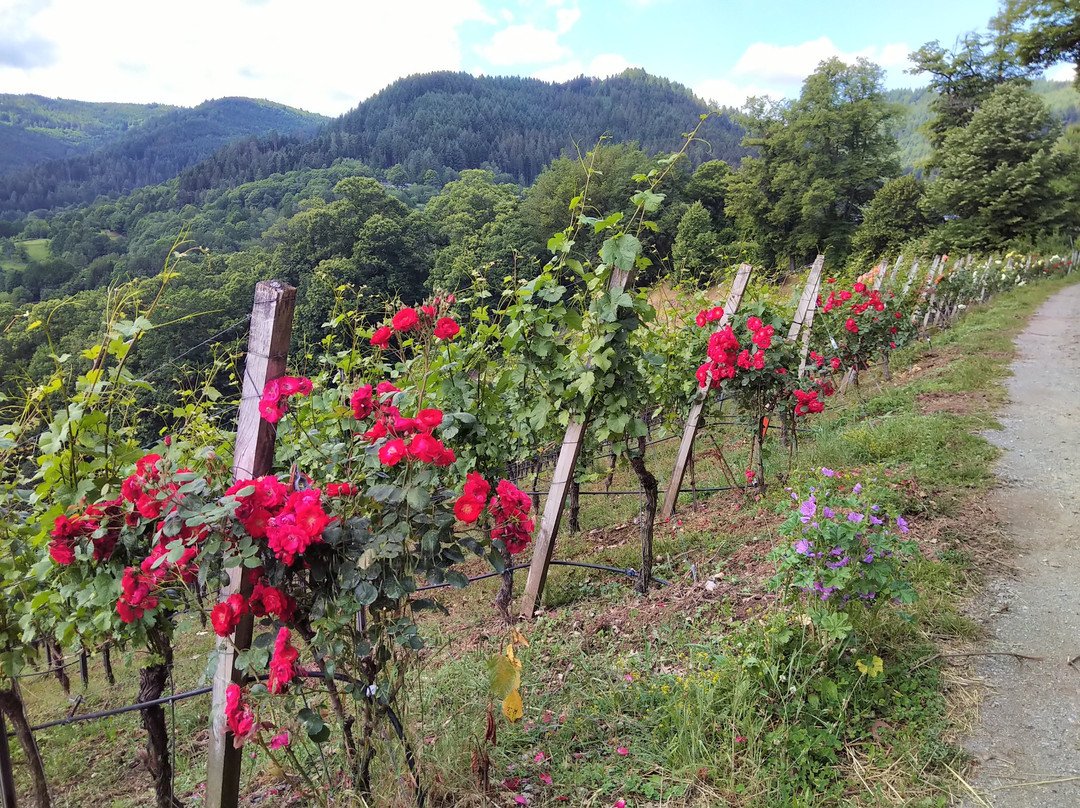 Schloss Eberstein主图